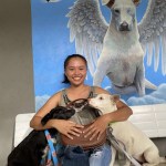 Prue and Piggles adopted